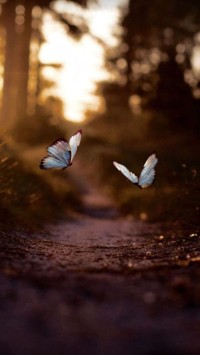 Image of COBA UPLOAD EBOOK